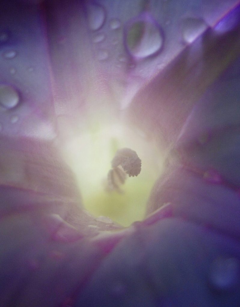 054-1