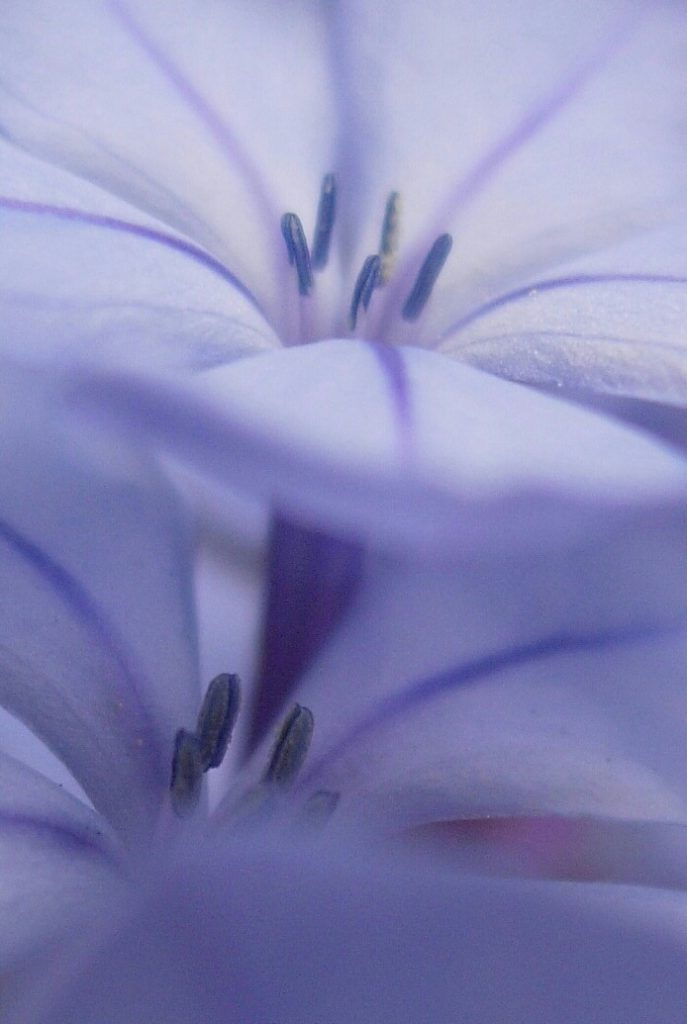 DSCN0423-1-2