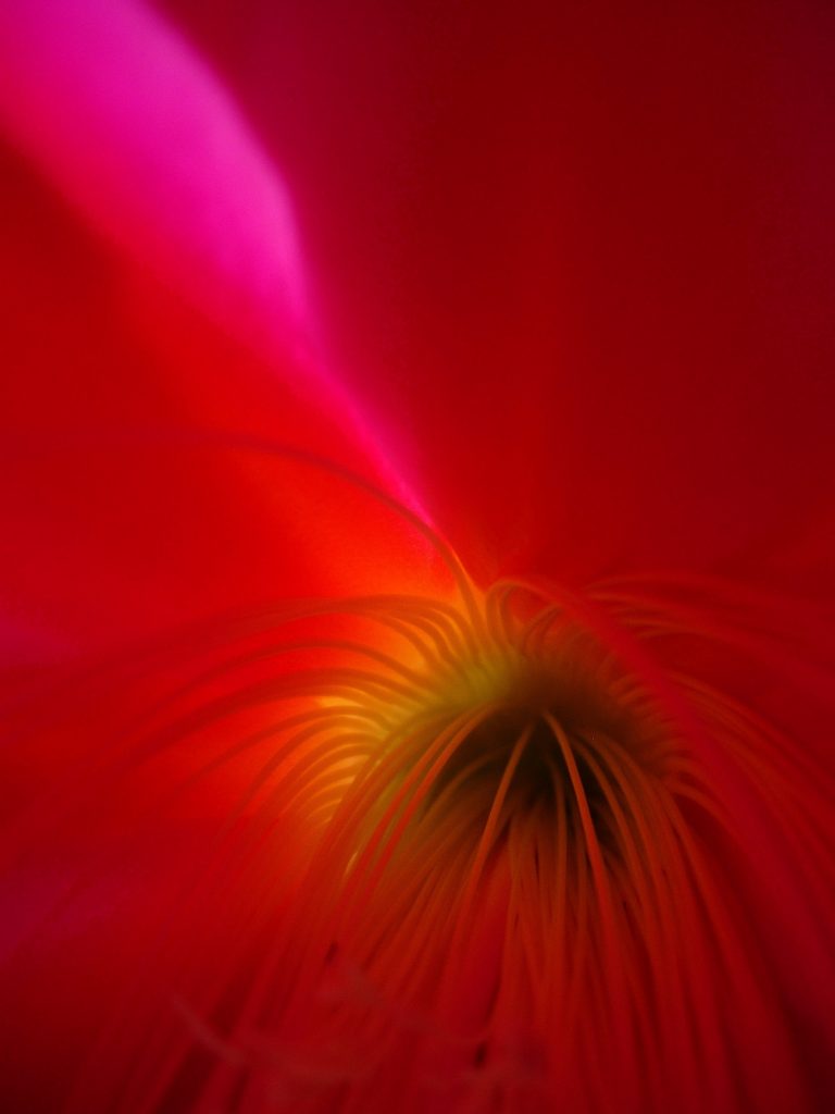 DSCN1284
