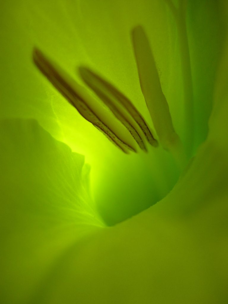DSCN3125 (1)