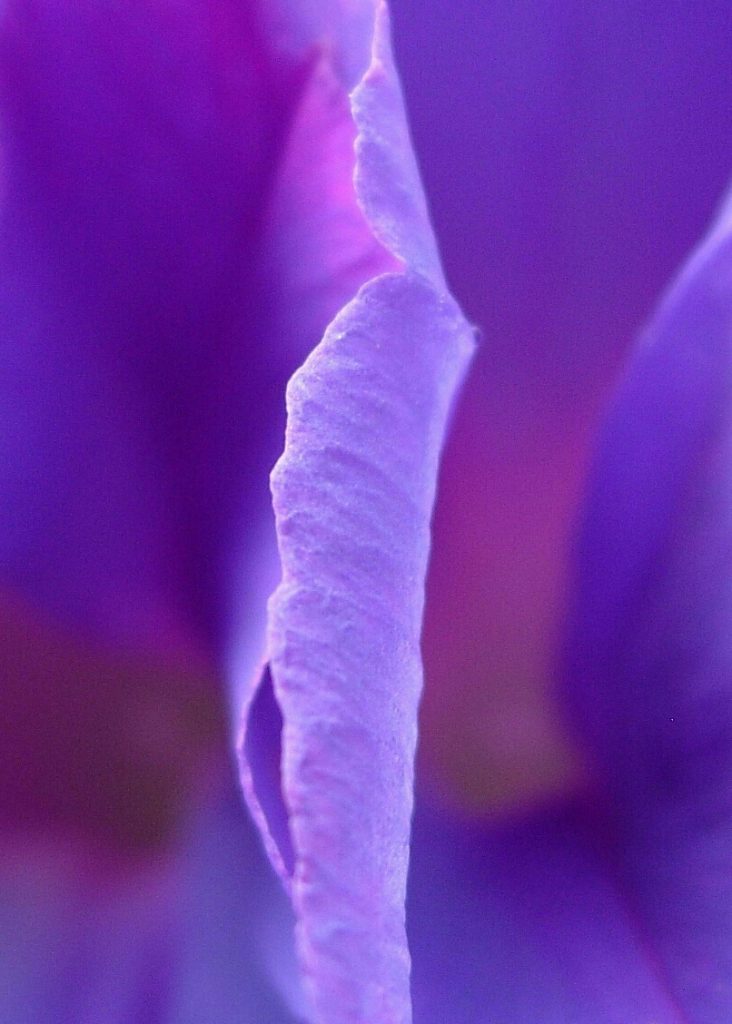 DSCN3297-1-1-1